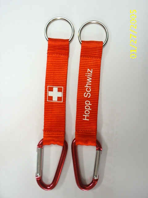 Hopp Schwiiz : Fahnenschwinger - Hopp Schwiiz T-Shirt | Schweizer ... / Record and instantly share video messages from your browser.